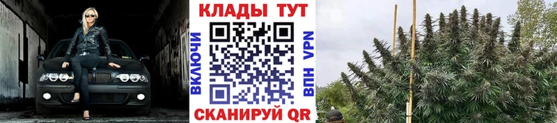 Наркошоп купить ГАШИШ  Конопля  Alpha-PVP  Мефедрон  Саяногорск