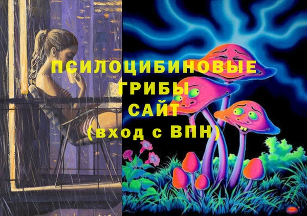 Альфа ПВП Приозерск